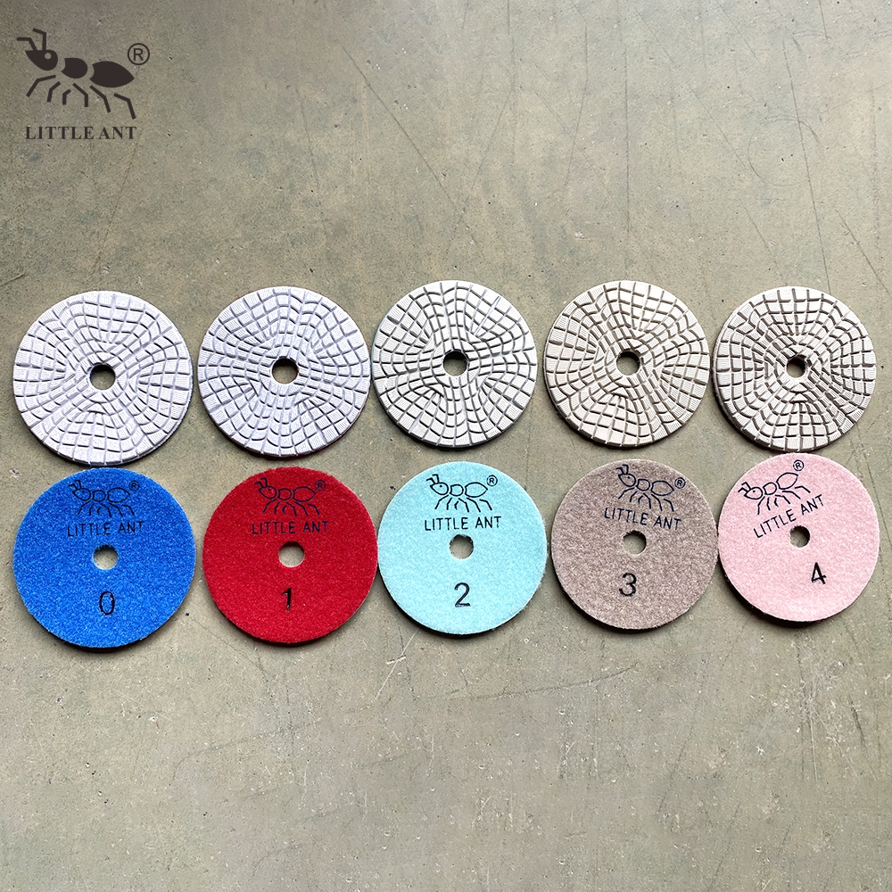 _0023_3wp4-b-5step Little Ant